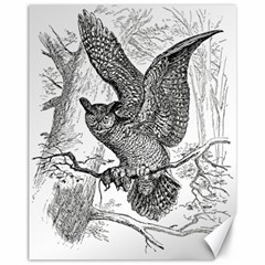 Owl-animals-wild-jungle-nature Canvas 11  X 14 