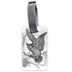 Owl-animals-wild-jungle-nature Luggage Tag (two Sides)