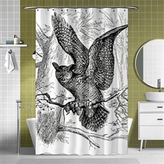 Owl-animals-wild-jungle-nature Shower Curtain 48  X 72  (small) 