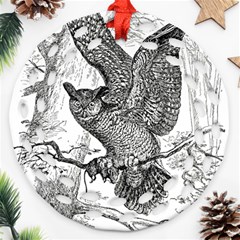 Owl-animals-wild-jungle-nature Round Filigree Ornament (two Sides)