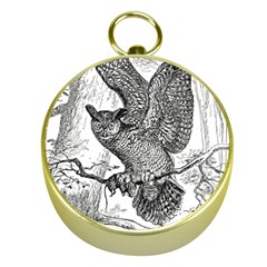 Owl-animals-wild-jungle-nature Gold Compasses