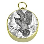 Owl-animals-wild-jungle-nature Gold Compasses Front