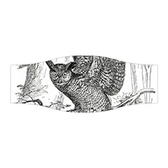 Owl-animals-wild-jungle-nature Stretchable Headband