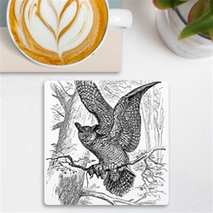 Owl-animals-wild-jungle-nature Uv Print Square Tile Coaster 