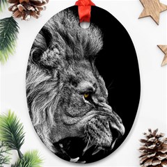 Angry Male Lion Ornament (oval)