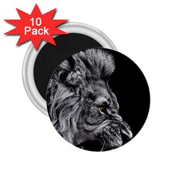 Angry Male Lion 2 25  Magnets (10 Pack) 