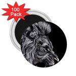 Angry Male Lion 2.25  Magnets (100 pack)  Front