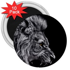 Angry Male Lion 3  Magnets (10 Pack) 