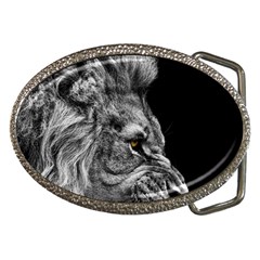 Angry Male Lion Belt Buckles