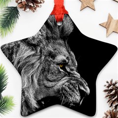 Angry Male Lion Star Ornament (two Sides)