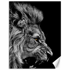 Angry Male Lion Canvas 12  X 16  by Jancukart