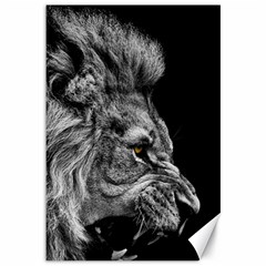 Angry Male Lion Canvas 12  X 18 