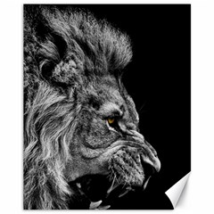 Angry Male Lion Canvas 11  X 14 