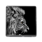 Angry Male Lion Memory Card Reader (Square 5 Slot) Front