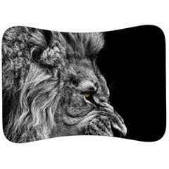 Angry Male Lion Velour Seat Head Rest Cushion