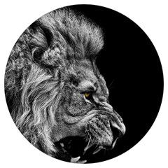 Angry Male Lion Round Trivet