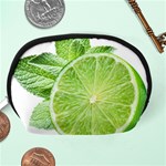 Lemon Clipart Accessory Pouch (Medium) Back