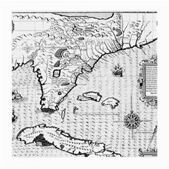 Florida-map-antique-line-art Medium Glasses Cloth