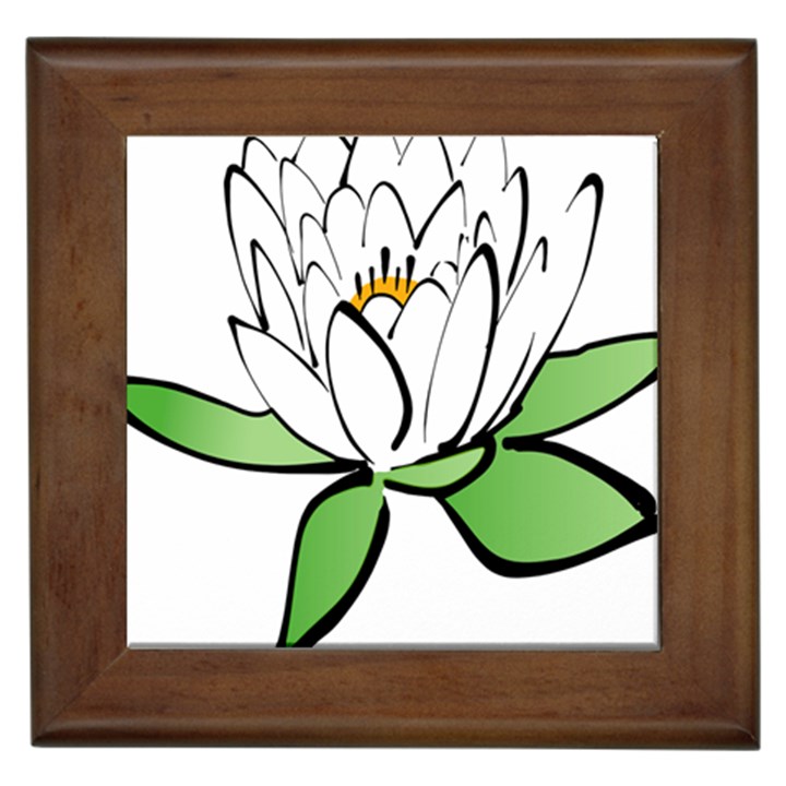 Lotus-flower-water-lily Framed Tile