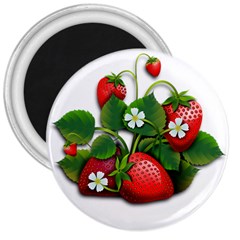 Strawberries-fruits-fruit-red 3  Magnets by Jancukart