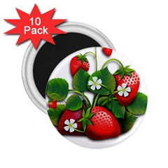 Strawberries-fruits-fruit-red 2 25  Magnets (10 Pack) 