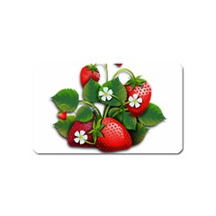 Strawberries-fruits-fruit-red Magnet (name Card)