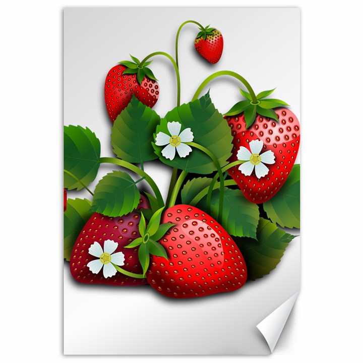 Strawberries-fruits-fruit-red Canvas 12  x 18 