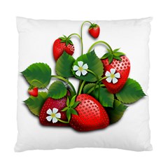 Strawberries-fruits-fruit-red Standard Cushion Case (two Sides)