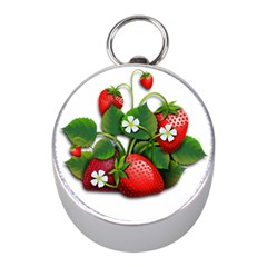 Strawberries-fruits-fruit-red Mini Silver Compasses