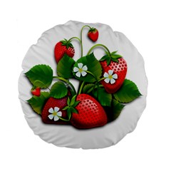 Strawberries-fruits-fruit-red Standard 15  Premium Flano Round Cushions