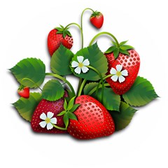 Strawberries-fruits-fruit-red Wooden Puzzle Round by Jancukart