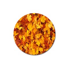 Fall Magnet 3  (round) by artworkshop