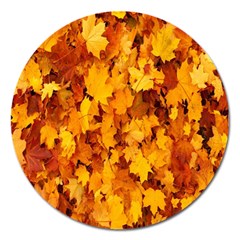 Fall Magnet 5  (round) by artworkshop