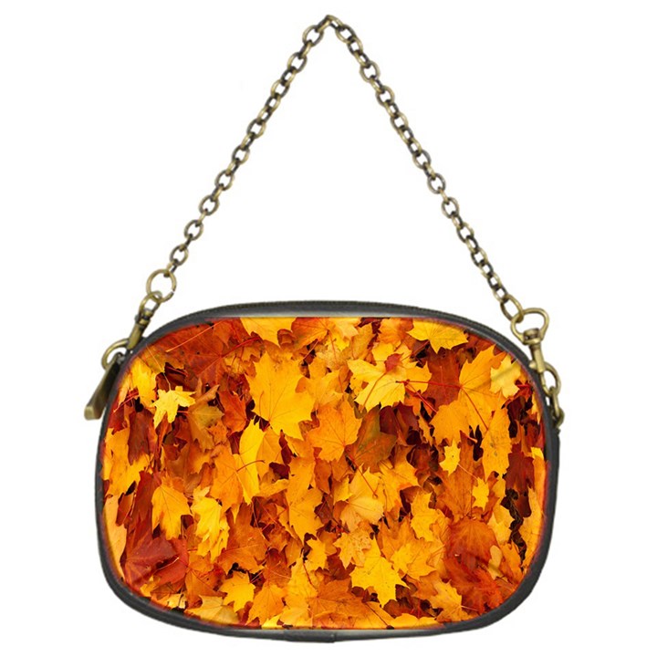 Fall Chain Purse (One Side)