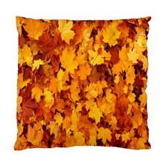 Fall Standard Cushion Case (one Side) by artworkshop