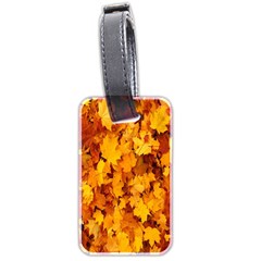 Fall Luggage Tag (two Sides) by artworkshop