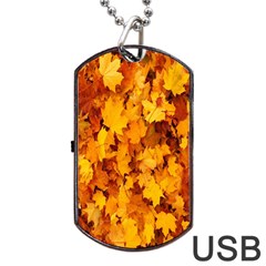 Fall Dog Tag Usb Flash (one Side) by artworkshop