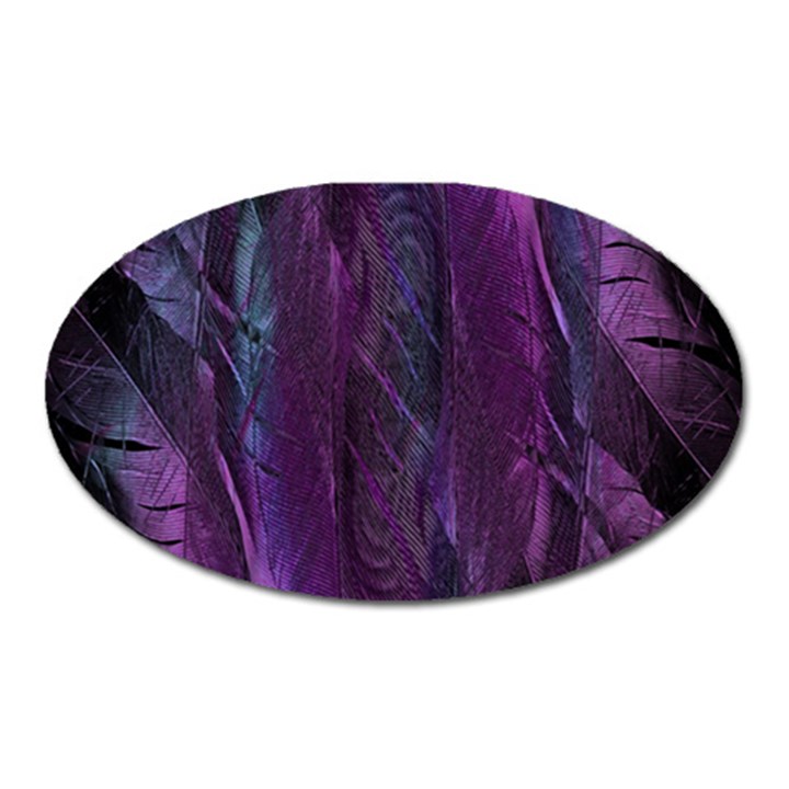 Feather Oval Magnet