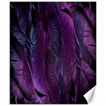 Feather Canvas 8  x 10  8.15 x9.66  Canvas - 1