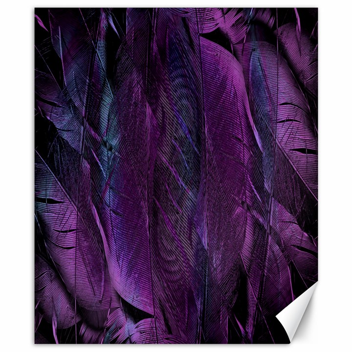 Feather Canvas 8  x 10 