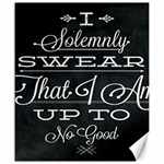 I Solemnly Swear Harry Potter Canvas 20  x 24  19.57 x23.15  Canvas - 1