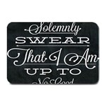 I Solemnly Swear Harry Potter Plate Mats 18 x12  Plate Mat