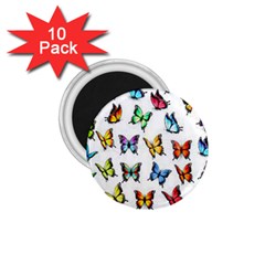 Big Collection Off Colorful Butterfiles 1 75  Magnets (10 Pack) 