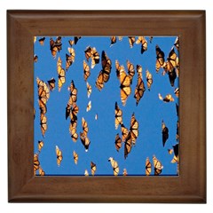 Eastern Monarch Butterfly Framed Tile by nate14shop