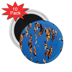 Eastern Monarch Butterfly 2.25  Magnets (10 pack) 