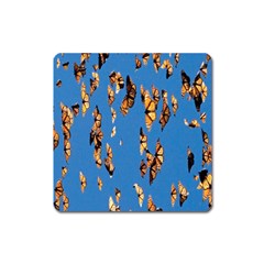 Eastern Monarch Butterfly Square Magnet