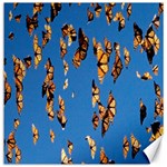 Eastern Monarch Butterfly Canvas 12  x 12  11.4 x11.56  Canvas - 1