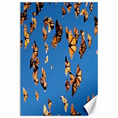 Eastern Monarch Butterfly Canvas 12  x 18 