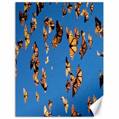 Eastern Monarch Butterfly Canvas 18  x 24 