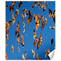 Eastern Monarch Butterfly Canvas 20  x 24 